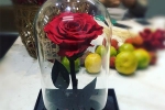 Bông hồng xanh dài gang tay 3,5 triệu: Chồng dám tặng vợ ngày Valentine