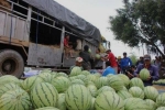 Trung Quốc siết nhập nông sản: Việt Nam không thể theo lối cũ