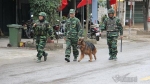 Lạng Sơn: Chó nghiệp vụ tuần tra quanh ga Đồng Đăng