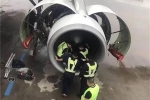 Máy bay hủy chuyến vì hành khách ném xu vào động cơ cầu nguyện