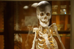 Người phụ nữ hóa đá hiến xương cho bảo tàng Mỹ