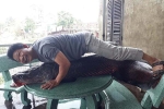 Sự thật bắt được thủy quái 110 kg trên sông Nhuệ: Loan tin xôn xao Hà Nội