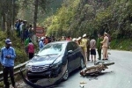 Thông tin mới về vụ 'bắt vạ' lái xe ô tô 400 triệu sau tai nạn tại Sa Pa