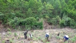 Đắk Nông: Lý giải về việc cắt giảm giao khoán rừng