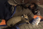Chú mèo nhỏ nằm ngủ ngon lành trong vòng tay người đàn ông lang thang trên vỉa hè khiến nhiều người thương cảm