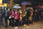 Người dân xếp hàng từ 3h sáng chờ xét nghiệm sán lợn ở Hà Nội