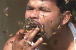 Video: Kinh dị cách đuổi ong lấy mật bằng miệng