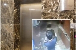 Ghê sợ, lo lắng sau vụ gã đàn ông lao vào ôm hôn bé gái trong thang máy: 'Đừng chỉ dừng ở mức phạt 200 nghìn đồng nữa'
