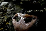Venezuela: công viên quốc gia thành nhà tắm công cộng