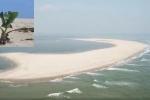 Chưa thể lý giải những bí ẩn về đảo cát lạ bất ngờ xuất hiện ở biển Hội An