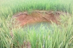 Kỳ lạ 'hố tử thần' nước xanh ngắt chình ình giữa ruộng lúa