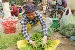 Cặp vợ chồng 20 năm giữa 'đảo hoang', mỗi ngày 2 tạ rau bí bán khắp Hà Nội