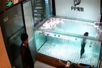 Trung Quốc: Chủ thả chó cưng vào bể nước đến chết đuối để quay phim gây phẫn nộ