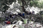 10 thanh niên bị đàn ong đốt khi leo núi Bà Đen