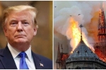 Pháp không dùng cách cứu hỏa ông Trump gợi ý vì sợ Nhà thờ Đức Bà Paris đổ sụp