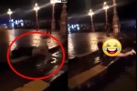 Video: Cô gái nghi ngáo đá, lột đồ 'bơi như cá' giữa quảng trường