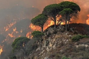 Hai sinh viên bị phạt 30 triệu USD vì gây cháy rừng ở Italy