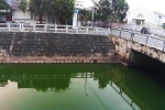 Nước kênh ở Đà Nẵng đổi màu xanh, xuất hiện nhiều cá chết