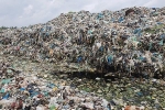 Phát hiện hơn 300 thai nhi bị bỏ theo rác thải ở Cà Mau