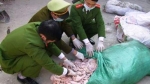 Văn Lâm (Hưng Yên): Vận chuyển hơn 2 tấn n ội tạng lợn ôi th ối đi tiêu thụ