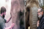 Người quản tượng xúc động khi con voi 52 tuổi vẫn nhận ra ông sau 32 năm xa cách