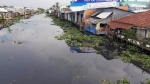 Người dân kêu cứu vì 2 dòng sông lớn ở Hậu Giang ô nhiễm nặng