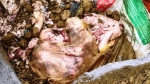 Lào Cai chặn kịp thời 300kg thịt lợn tồn dư kháng sinh vào bữa ăn từ thiện