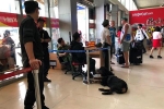 Bắt hai thanh niên vào sân bay Tân Sơn Nhất trộm đồ