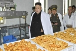 Triều Tiên khủng hoảng lương thực, Hàn Quốc muốn giúp, Mỹ nói gì?