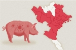 Dịch tả lợn châu Phi lan tới 29 tỉnh thành