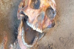 Phát hiện bộ xương 2.000 năm tuổi đang cười cùng nhiều trang sức quý báu