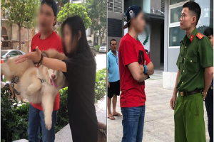 Bị nhắc nhở khi dắt chó trong khuôn viên chung cư, nam Việt Kiều quát nạt bác bảo vệ cùng nhiều người lớn tuổi: 'Chó tao là chó nằm máy lạnh!'