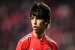 Benfica đòi cái giá khó tin cho 'Ronaldo đệ nhị'