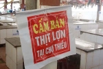 Chính quyền xã ở Thanh Hóa cấm bán thịt lợn để ngăn dịch tả