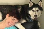 Con chó ba lần phát hiện bệnh ung thư của bà chủ