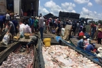 1.000 tấn cá bè sông La Ngà chết: Ô nhiễm hữu cơ vượt quy chuẩn