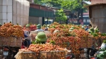 Bắc Giang: Đường vải Lục Ngạn tấp nập mùa thu hoạch