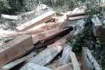 Bắt trạm trưởng bảo vệ rừng Đại Ninh vì bao che phá rừng