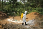 Thừa Thiên - Huế thiệt hại 10 tỉ đồng vì dịch tả heo châu Phi