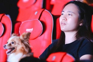 100 chú chó cùng chủ đến rạp xem phim ở Trung Quốc