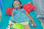 Em bé ở Tuyên Quang sốc phản vệ sau 5 phút khi bị kiến đốt