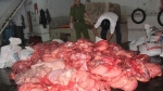 Phát hiện hơn 1,6 tấn thịt lợn không rõ nguồn gốc tại Đồng Nai