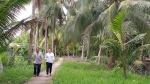 Bình Đại (Bến Tre) mở rộng 106ha vườn dừa