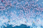 Gần 2.000 người bơi khỏa thân giữa cái lạnh 5 độ C mừng ngày đông chí