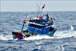 Đã xác định tàu hàng đâm chìm tàu cá của ngư dân Cà Mau