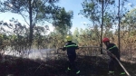 Quảng Trị: 2 ngày xảy ra 9 vụ cháy rừng