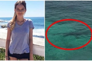Giây phút cô gái bị 3 cá mập hổ tấn công tới chết khi đang lặn biển