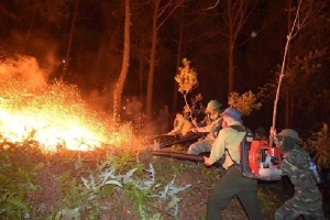 Cháy rừng thông, hơn 1000 người dập lửa: Bất ngờ tạm giữ một nghi can