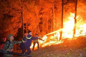 20 tiếng dầm mình trong biển lửa cứu rừng ngùn ngụt cháy ở Hà Tĩnh