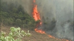 Cháy rừng diện rộng ở Quảng Bình, 50ha rừng thông thành tro
